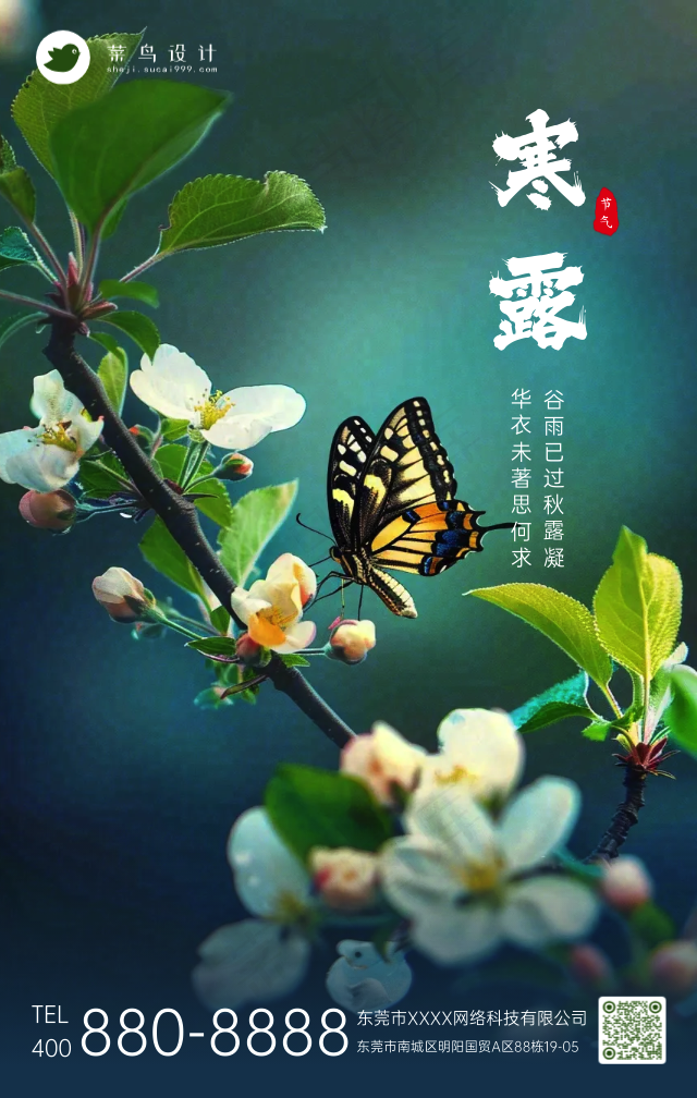 寒露手机海报