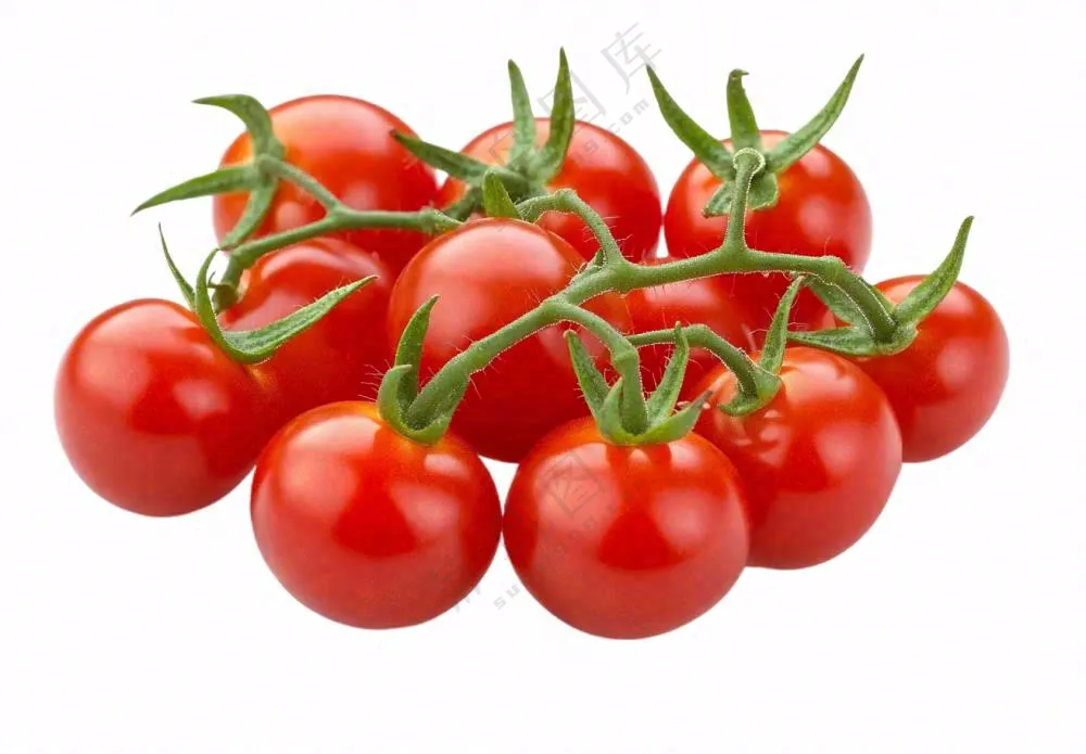 西红柿小番茄免抠