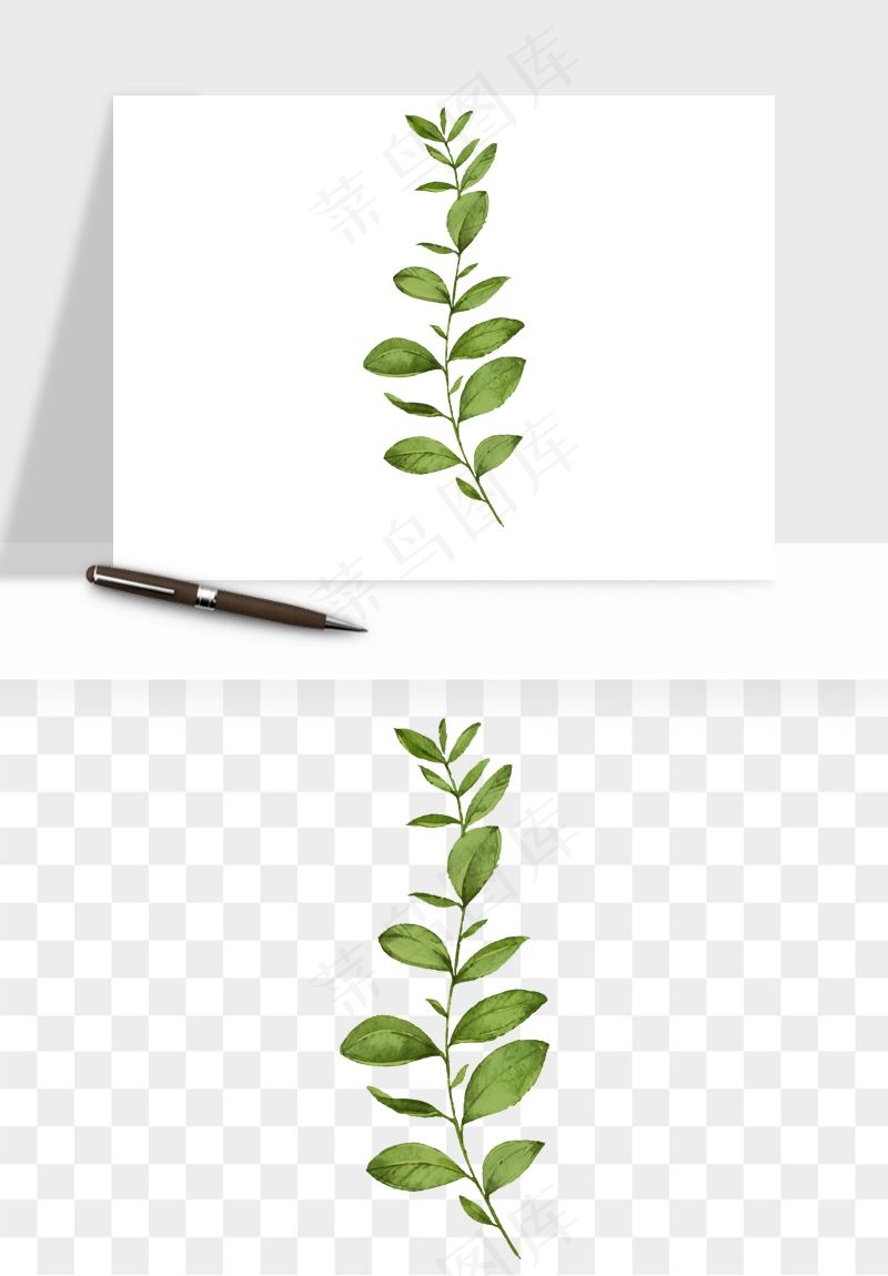 清新手绘植物png免抠
