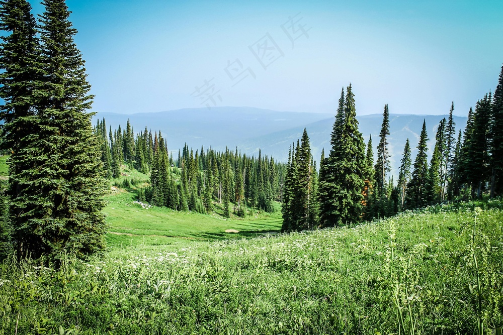 翠林绿野远山脉·自然静谧风·蓝绿交织·壁纸美景
