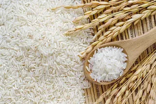 世界粮食日谷物米饭稻谷小麦摄影图