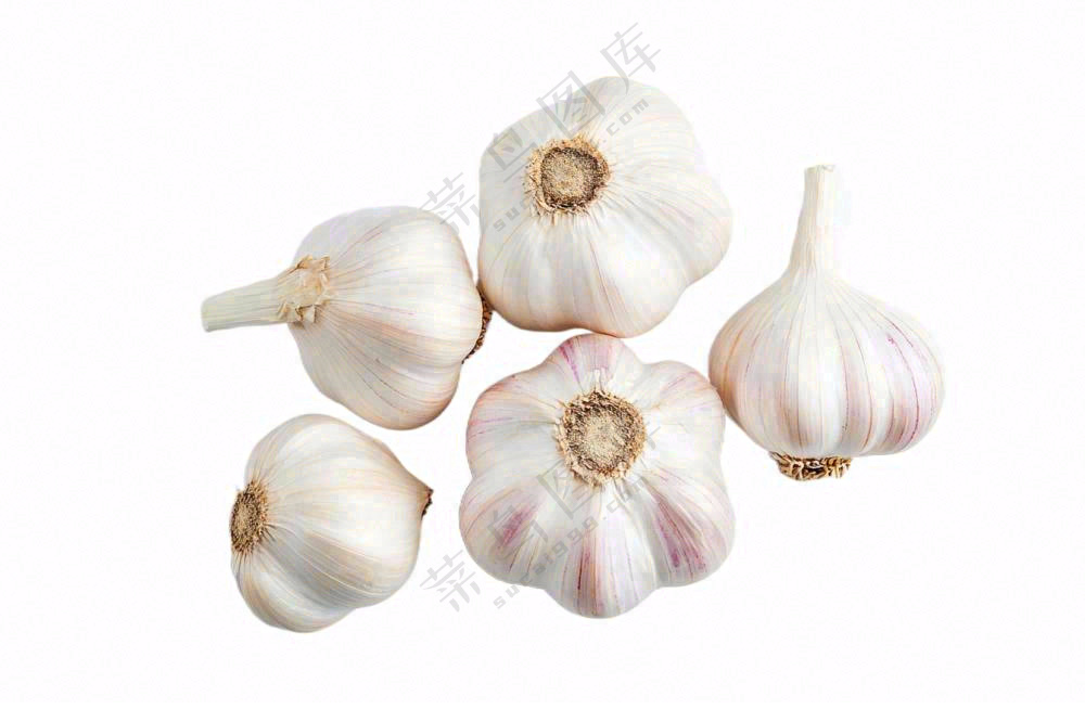 大蒜免抠