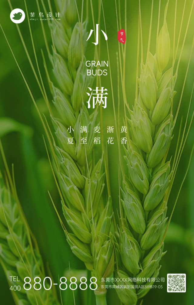 小满手机海报