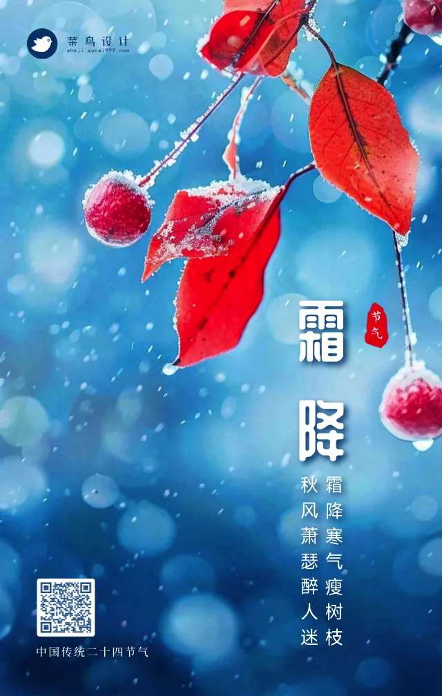 霜降手机海报