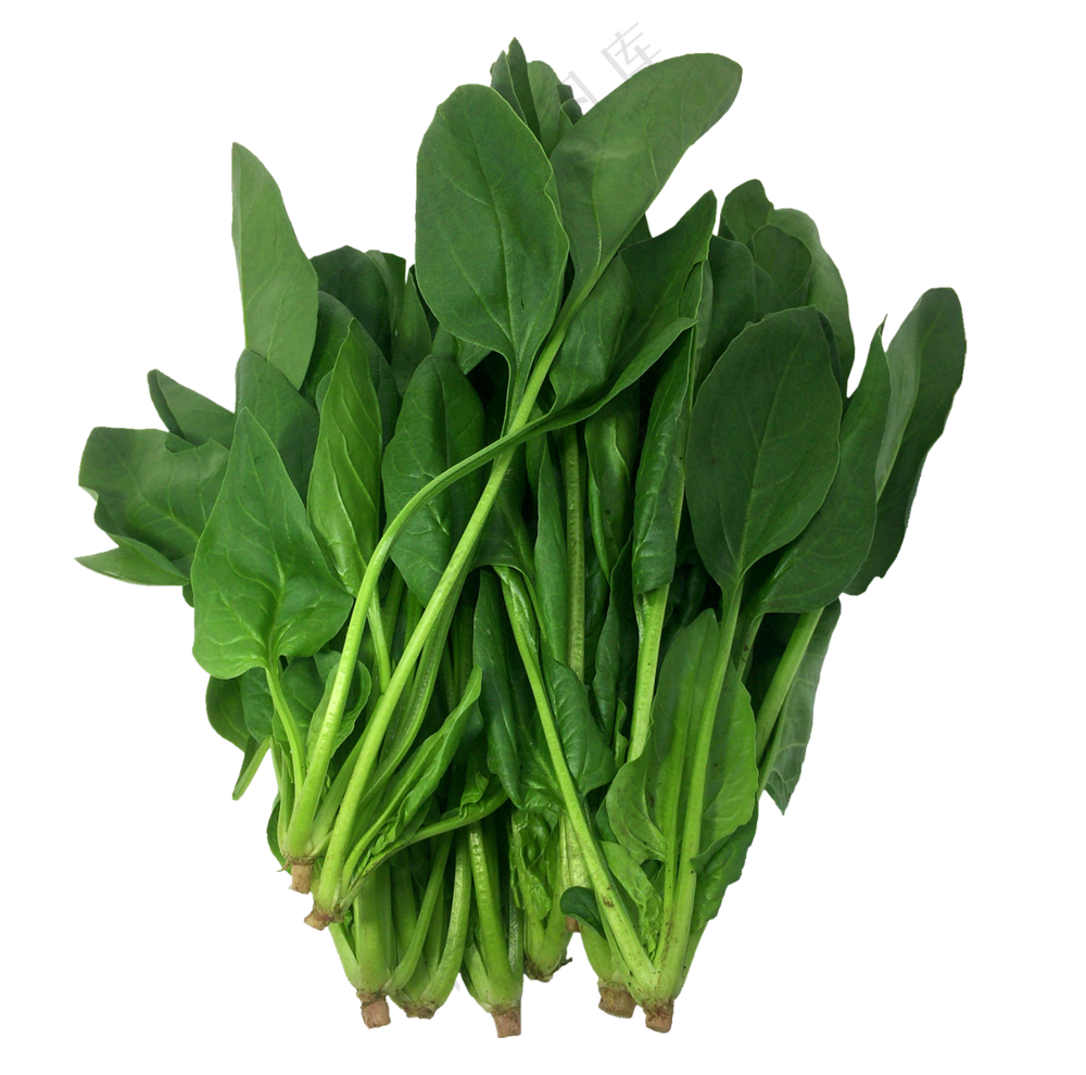菠菜免抠素材