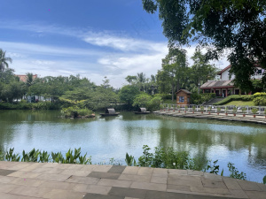 蓝天白云小湖