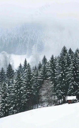 冬天寒冷白雪结冰小寒摄影图