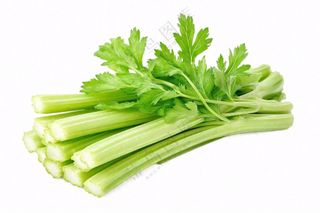 芹菜蔬菜免抠