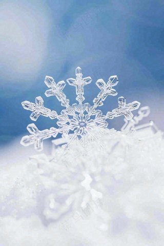 冰天雪地里的透明雪花白雪立冬小寒大寒冬至摄影图/