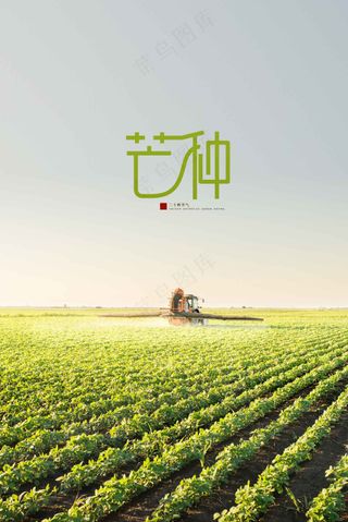 芒种节气传统活动宣传海报