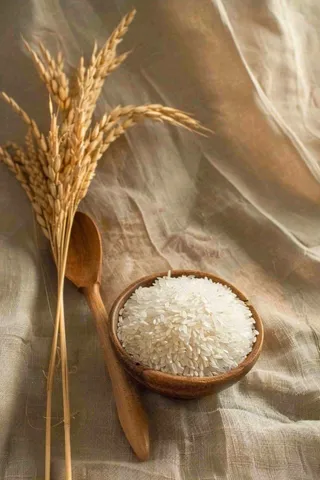 世界粮食日谷物米饭稻谷小麦摄影图