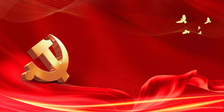 红色大气党政党建党课*工作报告海报展板背景