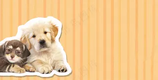 猫狗宠物店宣传卡通插画背景