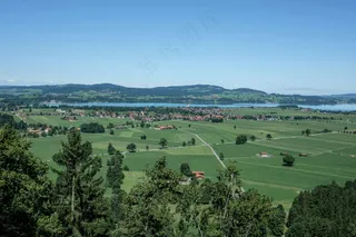 宁静田园绿意盎然