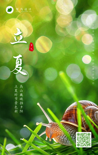 立夏手机海报