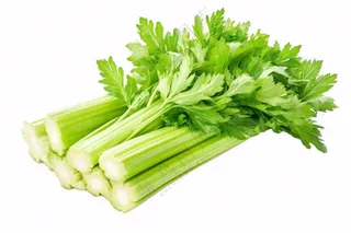 芹菜蔬菜免抠