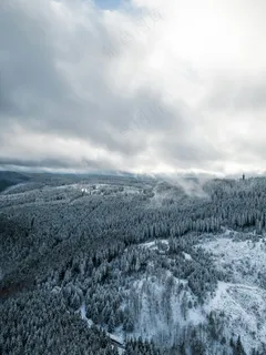 雪覆森林静谧寒·冬韵灰白赏景图
