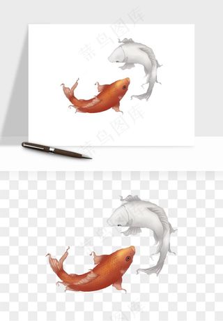锦鲤鱼手绘水墨png免抠
