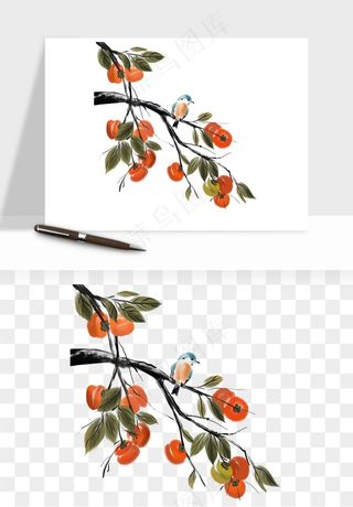 手绘柿子树秋png免抠