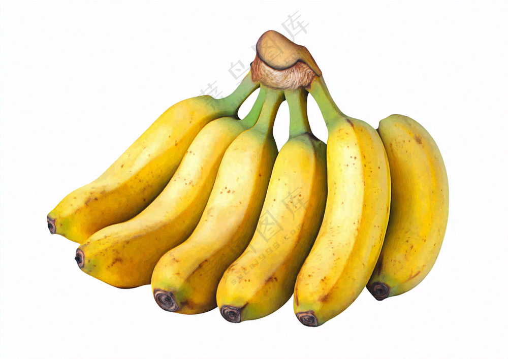 A bunch of bananas isolated on a white background, in the style of a PNG image. 