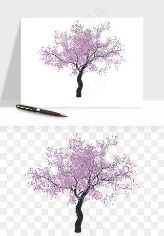 手绘樱花树png免抠