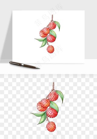 荔枝妃子笑水果png免抠