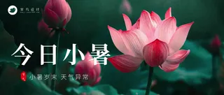 小暑公众号首图