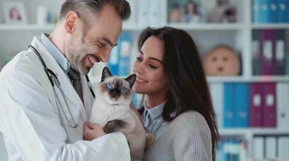 宠物医院猫狗生病救治摄影图