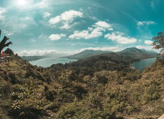 蓝天下的金色草原