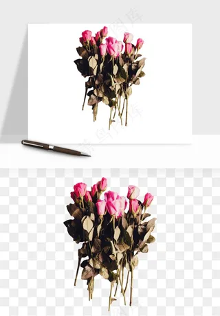 复古鲜花玫瑰png免抠
