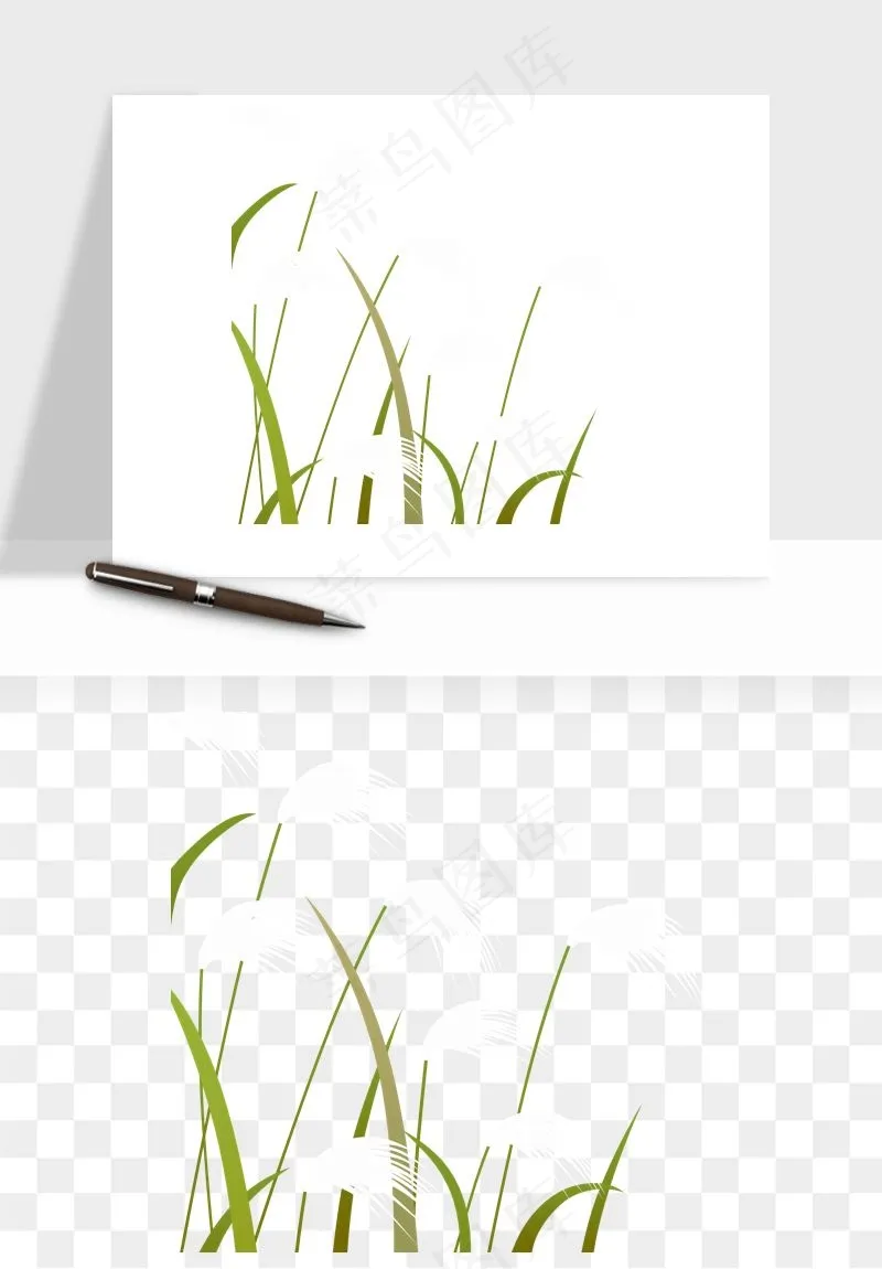植物芦苇蒲苇香蒲png免抠