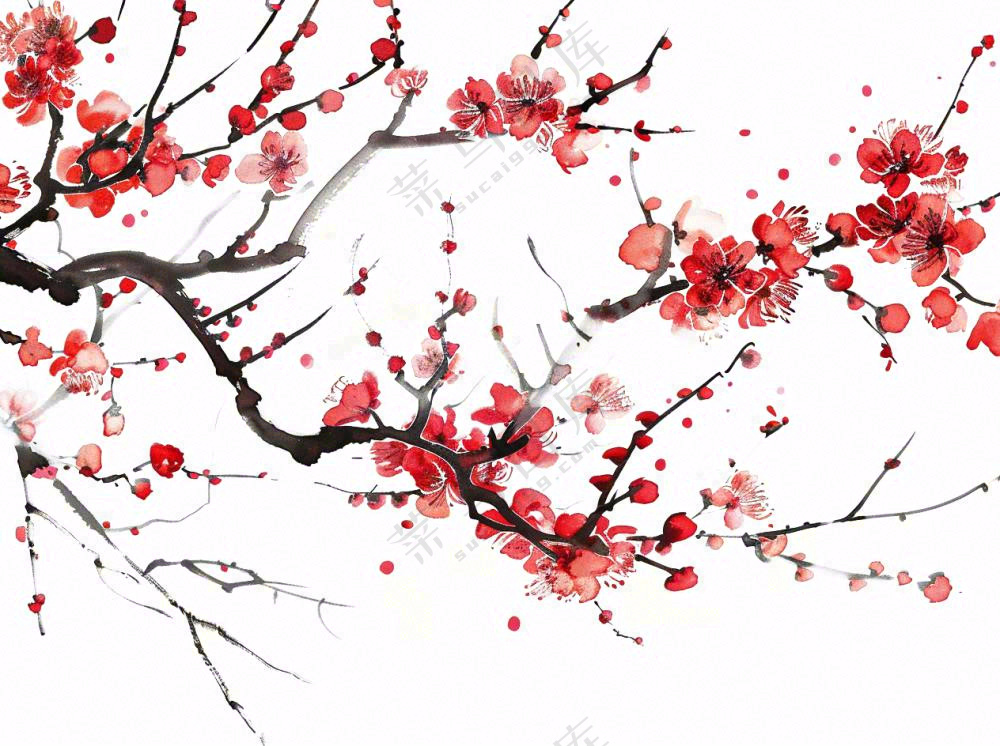 红色梅花傲雪水墨画插画免抠