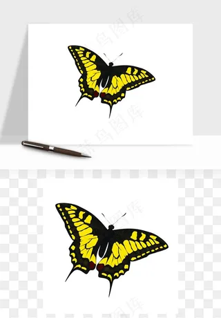 蝴蝶昆虫矢量png免抠
