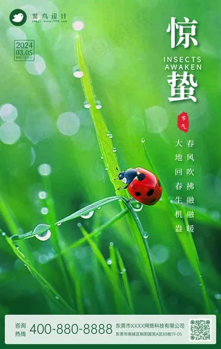 惊蛰手机海报