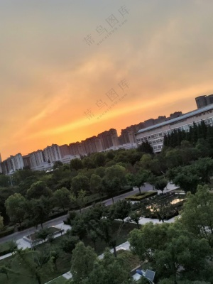 夕阳下的高楼树木