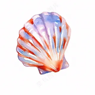海洋扇贝贝壳卡通插画免抠