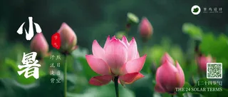 小暑公众号首图