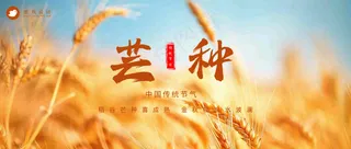 芒种公众号首图