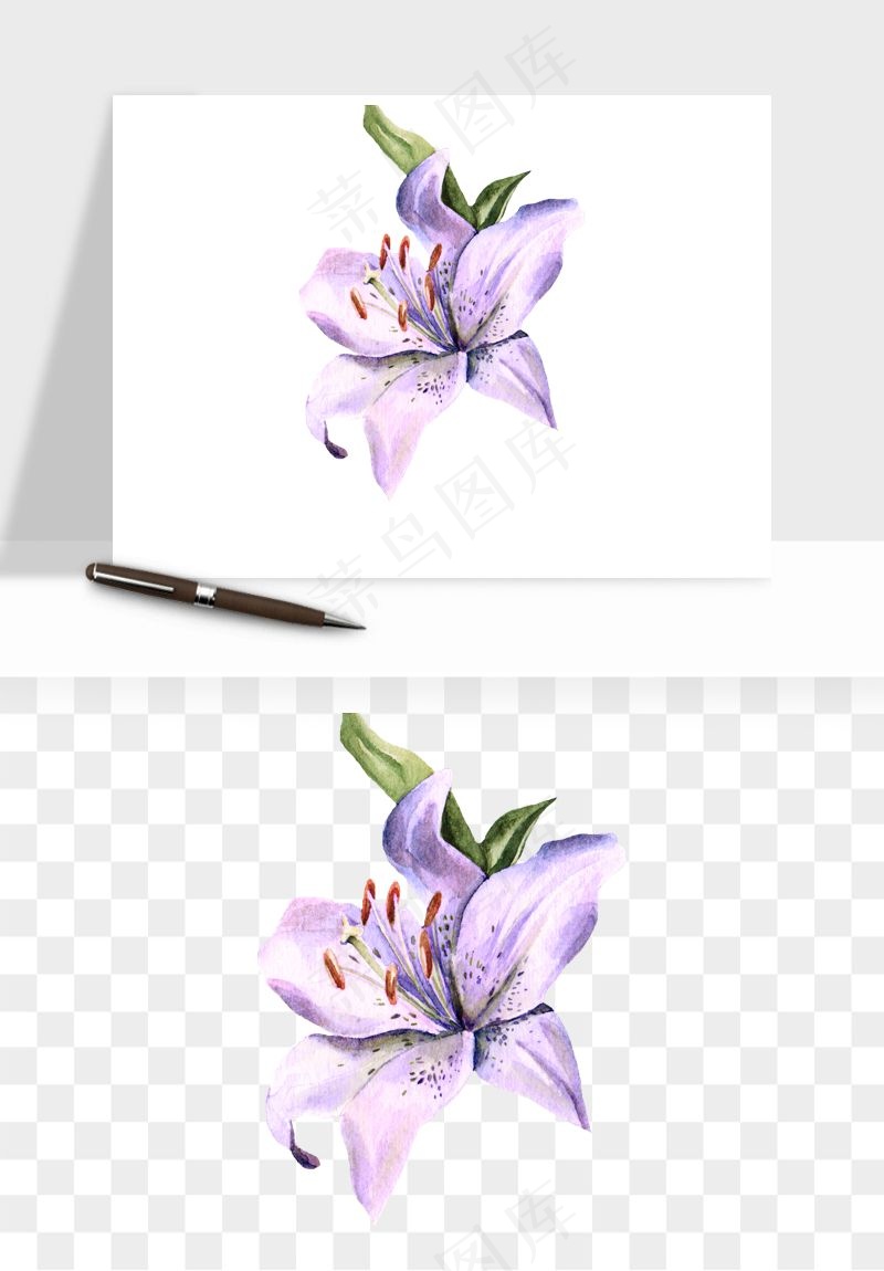 水彩复古植物花卉png免抠