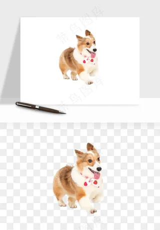 猫咪喵星人狗狗宠物元素png免抠