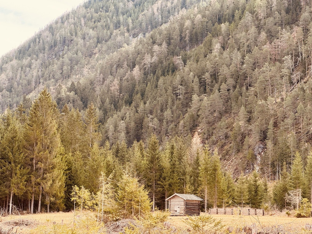 静谧山林小木屋