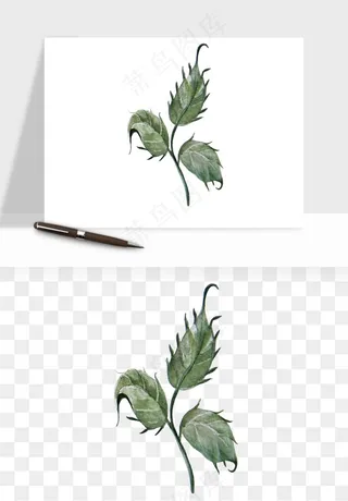 水彩复古花卉png免抠