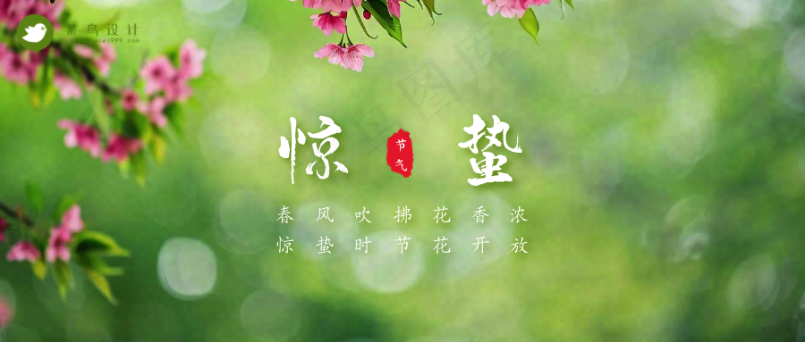 惊蛰公众号首图