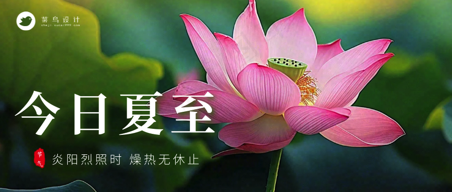 夏至公众号首图
