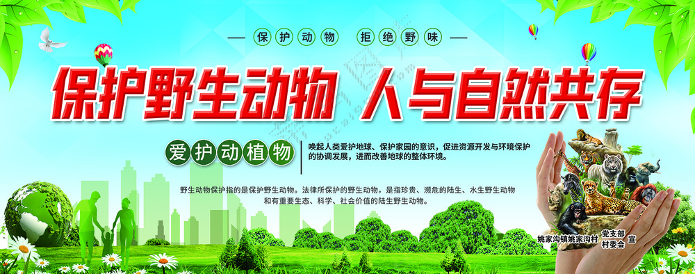500x197保护野生动物--