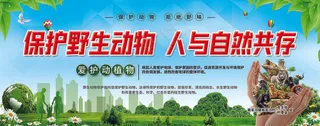 500x197保护野生动物--