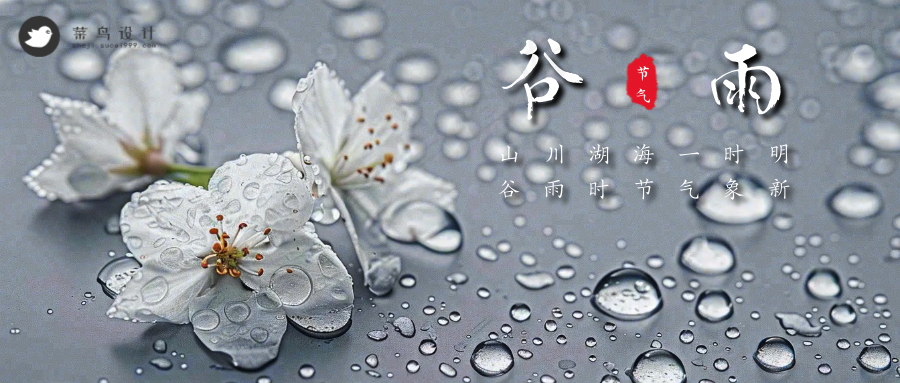 谷雨公众号首图