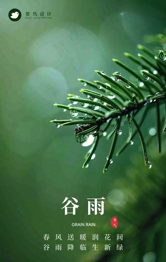 谷雨手机海报