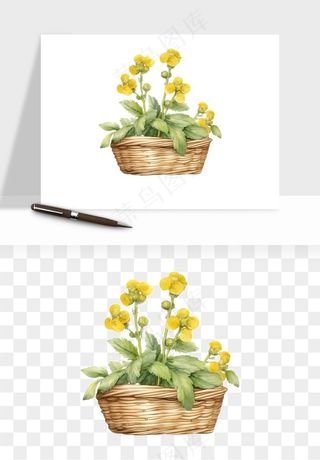 手绘花瓶花艺png免抠