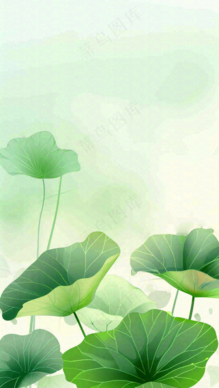 夏天荷花荷叶清凉小清新淡雅立夏夏至暑插画背景